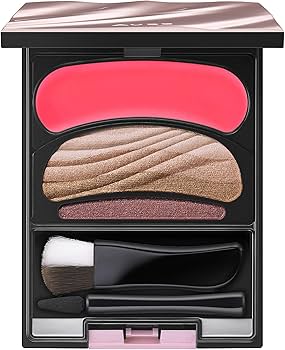 Amazon.co.jp: ソフィーナ オーブ ブラシひと塗りシャドウ N15